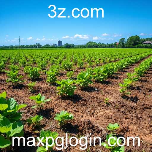 Impactos do 'maxpg' na Comunidade de Jogos Online