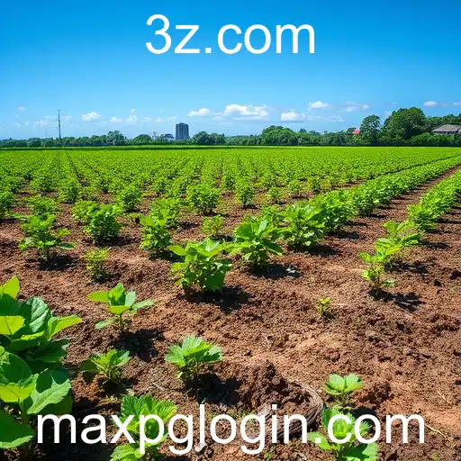 Impactos do 'maxpg' na Comunidade de Jogos Online